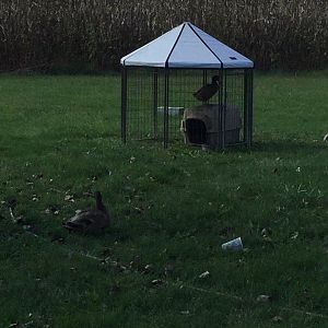 415B1736-4C84-4758-8F5B-753EC2AA7A62