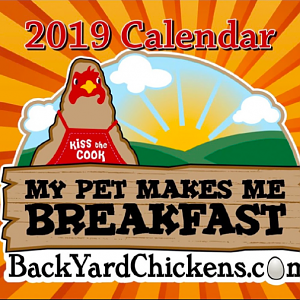 2019 Calendar Front