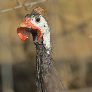 IMG_3176