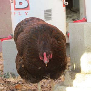 IMG_3189