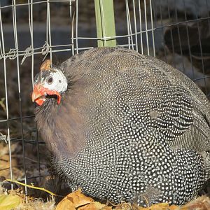 IMG_3192