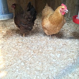 F70F9A44-2241-4E6A-96D5-A8837418A58B