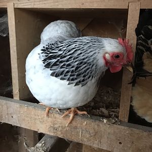 8F19EF82-1300-45E5-8C1B-E451133CB8E8