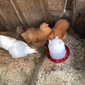 D7B03AD0-0ECF-4175-9359-F41F030E7F27