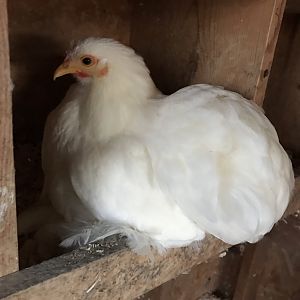 FA290FBF-E0CA-4A9D-8905-817C8DED7C79