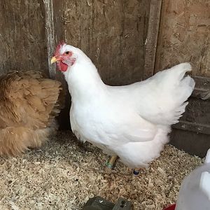 B8FBB874-FC73-4AF1-8CD3-C61CDF13ADE1