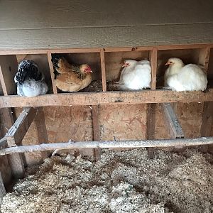 5C7EE951-4978-47A0-956E-7720C8C4BEF1