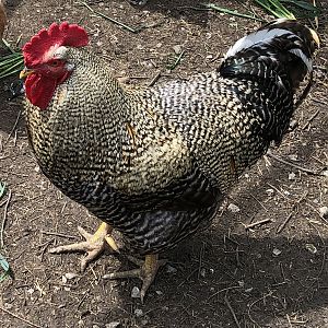 EACD128C-8010-44E6-81F9-50CE9ACDFEB2