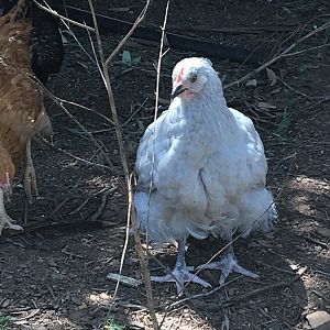 3639A318-8A81-4CF5-9D43-3B45958D3D03