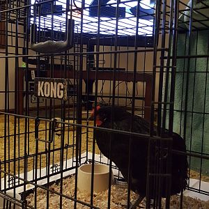 20180728_213714