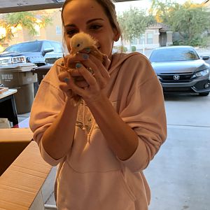 Officially a crazy bird lady