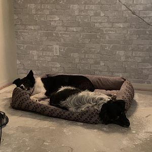 Stella & Earl