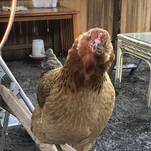 4123C337-831F-4BC9-97E3-173868A07941