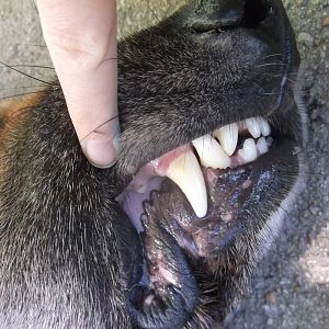 DSCF6975