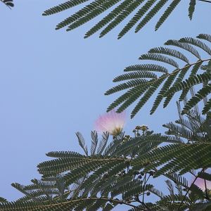 DSCF0026
