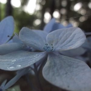 DSCF0084