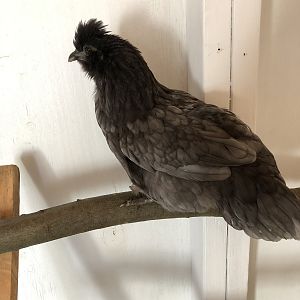 D5860326-C951-4BCB-9E64-9F89D391E757