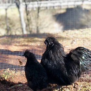 3C57E73A-31B3-4D00-9601-15DD029CFBE4