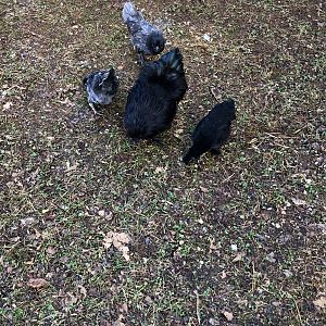 5323C68A-904D-452C-81A7-5B2F78861E4C