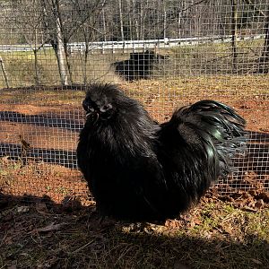 61579A16-95A6-4BCD-9726-A00A8F3D62DD