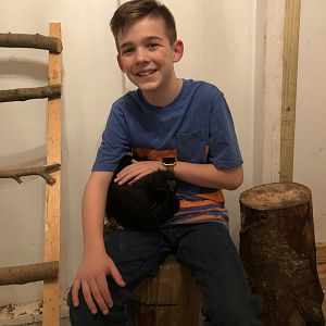 1068431C-B33E-4120-9444-19411692D423