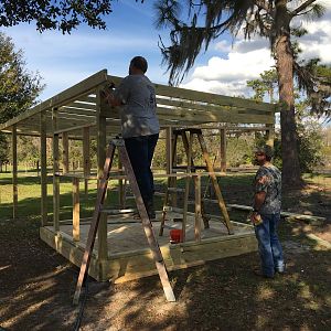 New Coop!