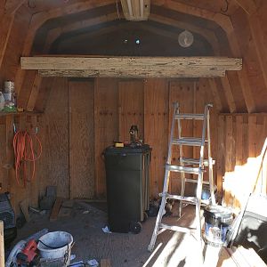 Lofted added - shed coop build