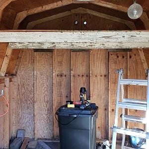loft - shed coop build