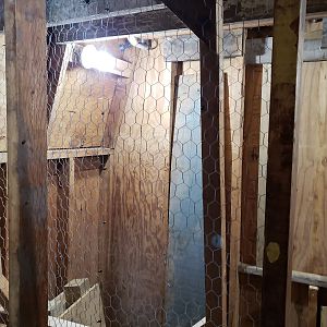 lights in - shed coop build