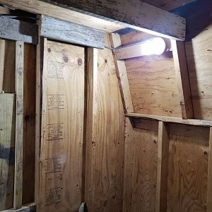 lights in 2 - shed coop build