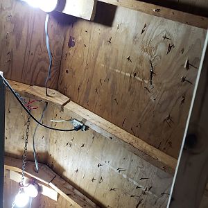 lights in ceiling - shed coop build