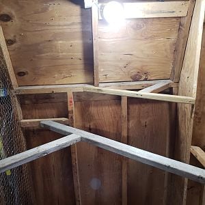roosts installed - shed coop build