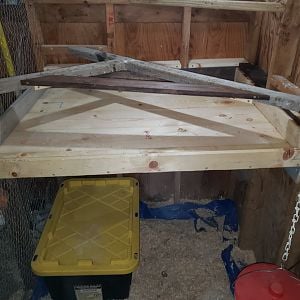 poop boards installed - shed coop build