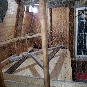 poop board installed outside view - shed coop build