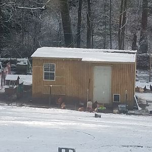 20181225_112534