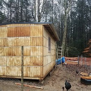 20181115_163353