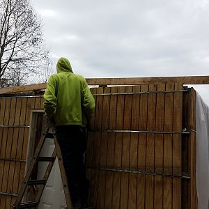 20181111_141032