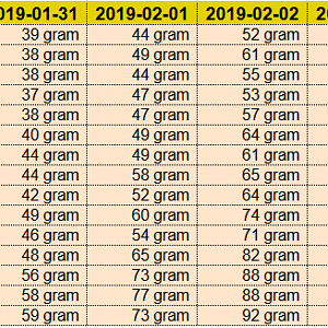 WeightProgress 2019-02-03