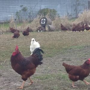 IMG_20190112_155354039