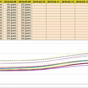 WeightProgress 2019-02-09