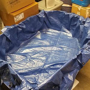 Self-made brooder: Cardbord boxes, Strofoam covered with a Tarp