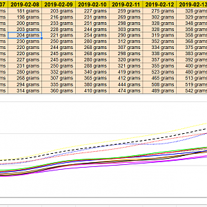 WeightProgress 2019-02-13