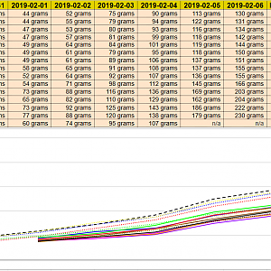 WeightProgress 2019-02-06 (New)