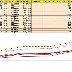 WeightProgress 2019-02-17 (New)