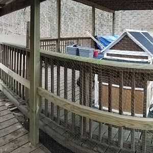 The last part of the reiling is installed and chicken wire is covering all openings.