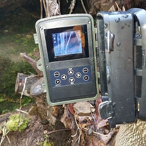 Trailcam, display in daylight