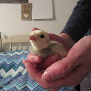 Slater in my mom's hands