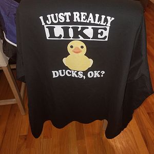 I just really like ducks, OK?