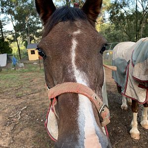 86C15E32-802E-4A8B-AF65-61337FFAFD16