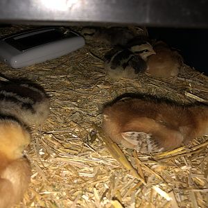 E4E10C60-DE9A-424B-A47F-74A952C322F9